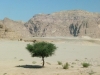  2011 Ägypten | Wüste - P1010831_.jpg
